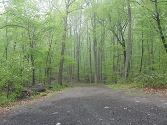 Enlarge photo 29