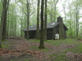 Enlarge photo 31