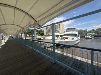 Enlarge photo 67