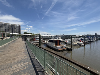 Enlarge photo 82