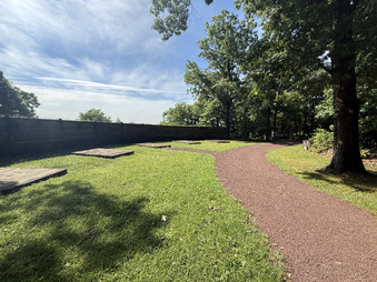 Enlarge photo 52