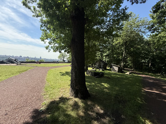 Enlarge photo 25