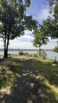 Enlarge photo 66