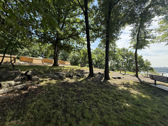 Enlarge photo 49