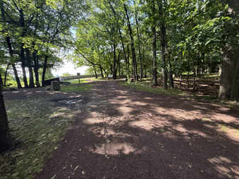 Enlarge photo 91
