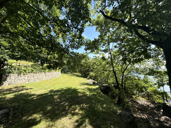 Enlarge photo 97