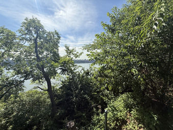 Enlarge photo 107