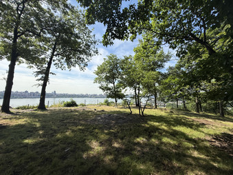 Enlarge photo 115