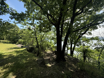 Enlarge photo 123