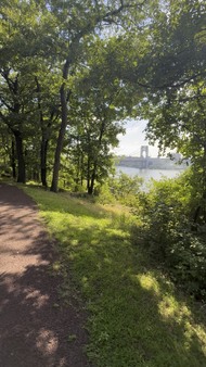 Enlarge photo 131