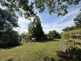 Enlarge photo 133