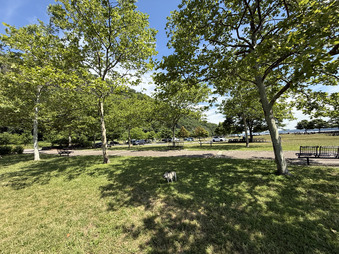 Enlarge photo 5