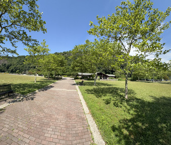 Enlarge photo 18