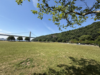 Enlarge photo 35