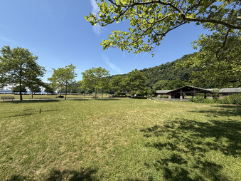 Enlarge photo 48