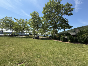 Enlarge photo 56