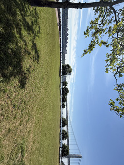 Enlarge photo 62