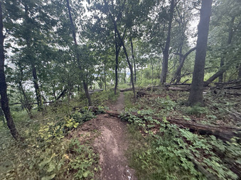 Enlarge photo 5
