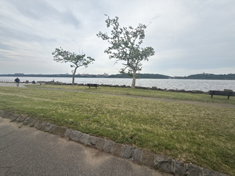 Enlarge photo 55