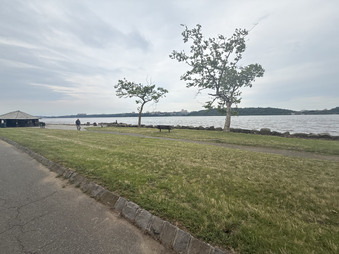 Enlarge photo 44