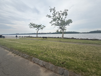 Enlarge photo 52