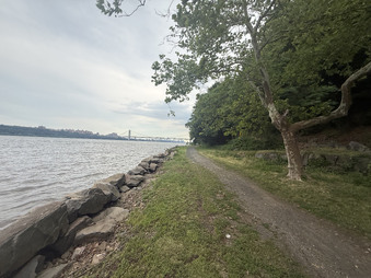 Enlarge photo 45