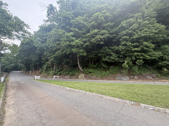 Enlarge photo 53