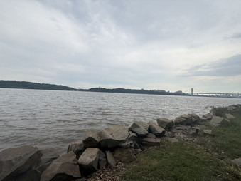 Enlarge photo 35