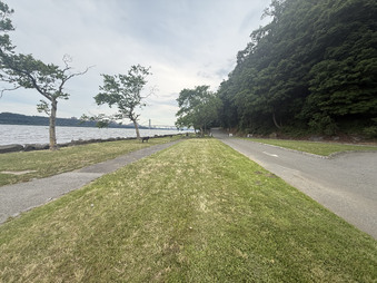 Enlarge photo 47