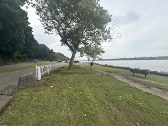 Enlarge photo 25