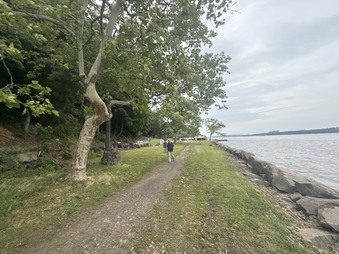 Enlarge photo 61