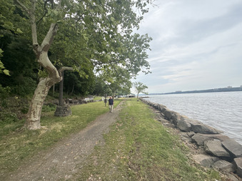 Enlarge photo 62