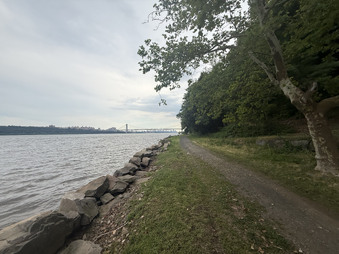 Enlarge photo 59