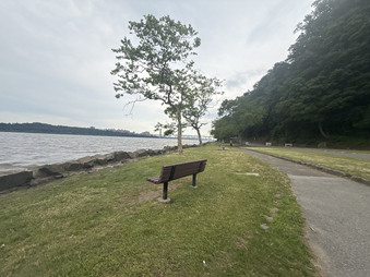 Enlarge photo 66