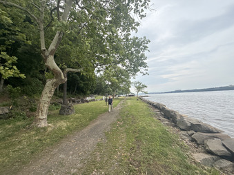 Enlarge photo 71
