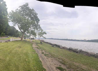 Enlarge photo 72