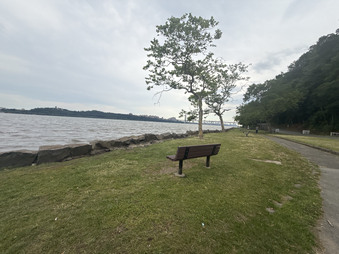 Enlarge photo 87