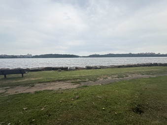 Enlarge photo 91
