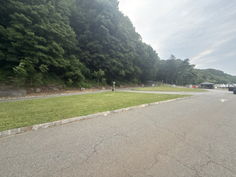 Enlarge photo 95