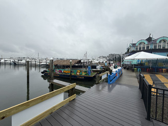 Enlarge photo 91