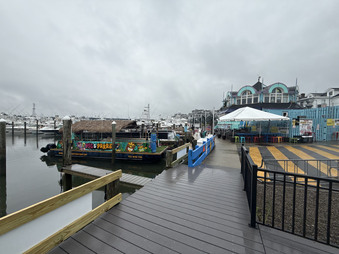 Enlarge photo 65