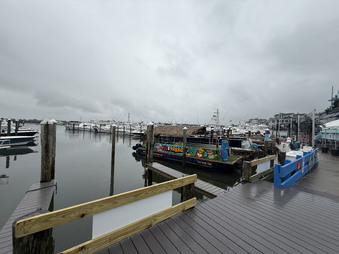 Enlarge photo 67