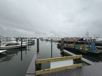Enlarge photo 73