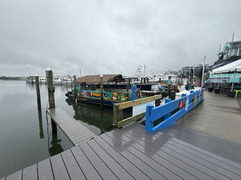 Enlarge photo 139
