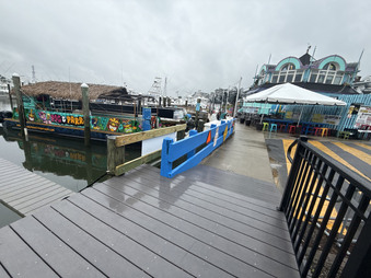 Enlarge photo 35