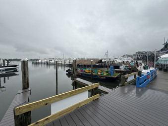 Enlarge photo 43