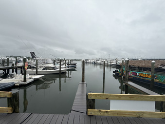 Enlarge photo 58