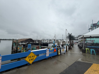 Enlarge photo 145