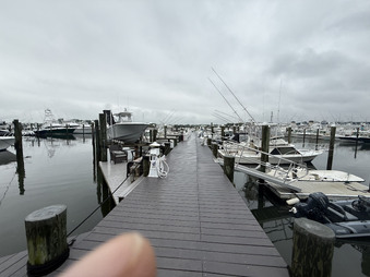 Enlarge photo 153
