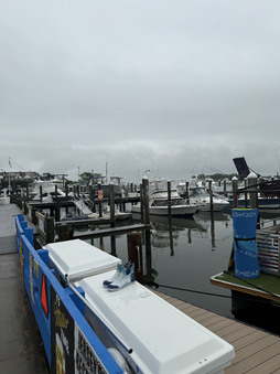 Enlarge photo 154
